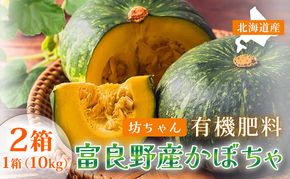 【秋の味覚 北海道産 小玉カボチャ】坊ちゃんカボチャ 無選別 10kg×2箱｜北海道富良野市 9～10月発送 野菜 料理用 家庭用 シェア用 ホクホク 濃厚 甘い 黒皮カボチャ かぼちゃ 坊ちゃん 南瓜 料理 秋季限定
