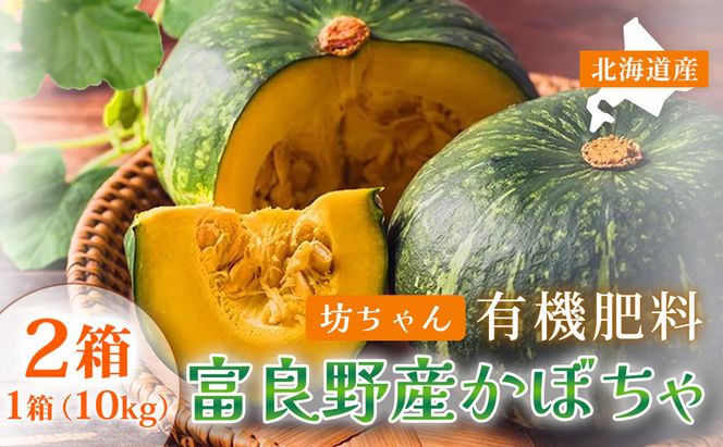 【秋の味覚 北海道産 小玉カボチャ】坊ちゃんカボチャ 無選別 10kg×2箱｜北海道富良野市 9～10月発送 野菜 料理用 家庭用 シェア用 ホクホク 濃厚 甘い 黒皮カボチャ かぼちゃ 坊ちゃん 南瓜 料理 秋季限定