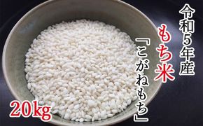 【令和6年産】平泉町産もち米 こがねもち 20kg(10kg×2袋) / お米 こめ もちごめ 令和6年産 産地直送 国産 もち米の王様 年末 お正月 餅つき お餅 お雑煮 ぞうに お赤飯 おはぎ ぼたもち ギフト プレゼント 贈答 お祝い お返し【com400-koga-20-2B】