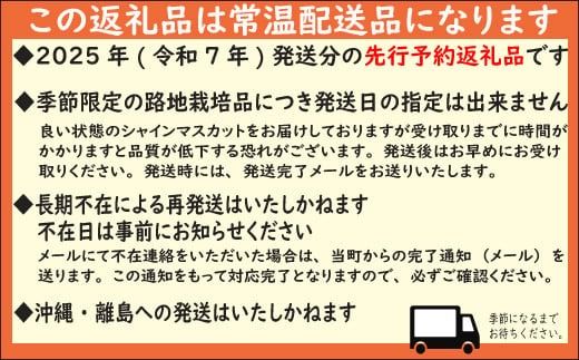 【2025年発送分 先行予約】頬張る幸福感　～緑の宝石・シャインマスカット～　２ｋｇ以上（３～５房） フルーツ 山梨県産 果物 シャイン マスカット ぶどう ブドウ 大粒 種なし 種無し 先行予約 富士川町