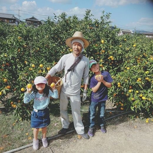 ［先行予約］［ご家庭用］有田みかん  5kg （S～2Lサイズミックス）木成り完熟 大ちゃんの畑農園 CA12