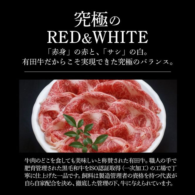  宮崎ＥＭＯ黒毛和牛 すき焼き用 ローススライス 500ｇ K20_0017_3