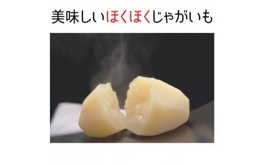もうゆでちゃったじゃがいも 業務用1kg×6袋_HD054-008 ふるさと納税 北海道産野菜 ゆで野菜 時短調理 非常食 レトルト いも 常温