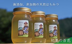 合計1800g 天然蜂蜜 国産蜂蜜 非加熱 生はちみつ 岐阜県 美濃市産 初夏 (蜂蜜600g入りガラス瓶3本セット)B7 深田養蜂のハチミツ