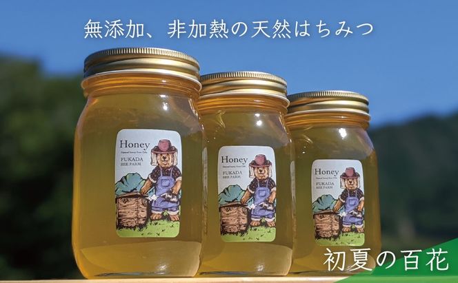 合計1800g 天然蜂蜜 国産蜂蜜 非加熱 生はちみつ 岐阜県 美濃市産 初夏 (蜂蜜600g入りガラス瓶3本セット)B7 深田養蜂のハチミツ