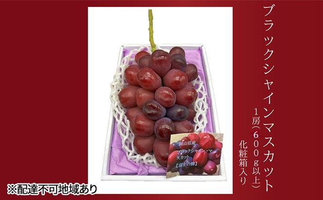 ぶどう 2026年 先行予約 ブラックシャインマスカット1房（600ｇ以上）化粧箱入り ブドウ 葡萄 岡山県産 国産 フルーツ 果物 ギフト 