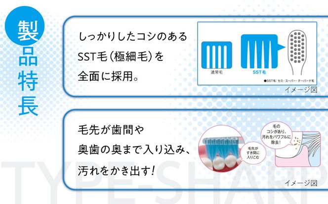 【定期便 毎月 3か月】LION ハミガキセット 142069_CR004