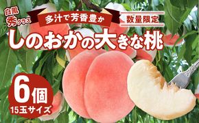 【数量限定】 しのおかの大きな桃(白鳳・秀クラス）[017O01]