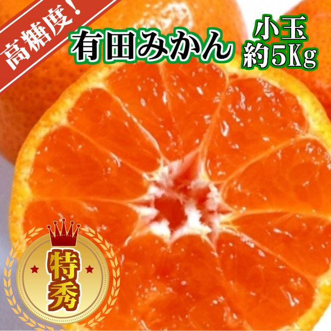 【先行予約】【特秀品】有田みかん 和歌山県産 約5kg（小玉 S～Mサイズ混合）