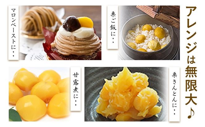 【先行予約】生栗 熊本県御船町産限定 約1kg 約2kg(2L-Lサイズ) 期間限定 野菜 予約 スイーツ きんとん 甘露煮 渋皮煮 栗ご飯 熊本県御船町《9月上旬-9月下旬頃出荷》---mifune_lcl_199_1---