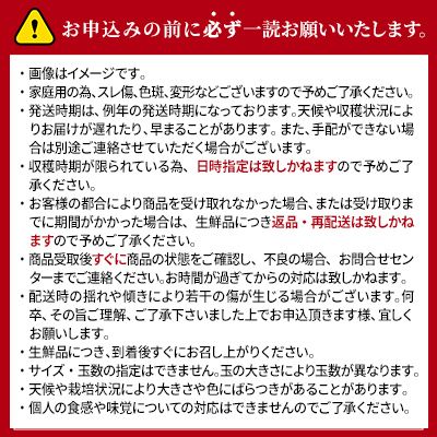 りんご サンふじ 家庭用 小玉 約10kg フルーツ 果物 林檎 甘い 訳あり