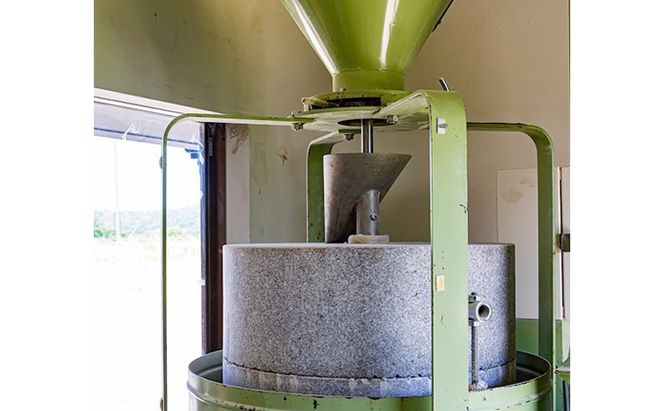 冷凍 かけ うどん 200g×10袋（出汁×10袋つき）備前福岡 一文字うどん 麺類 小麦製品 時短 簡単 調理 お昼 夕飯 ランチ 休日 挽きたて 小麦粉 ストレート 出汁セット 鍋 しめ 