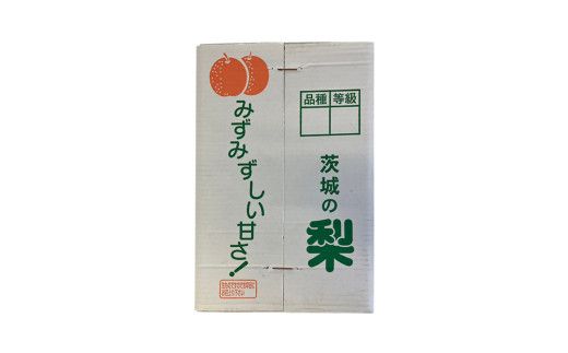【 2026年9月上旬発送開始 】 茨城県産 梨 秋月 （約 5kg ） 10～14玉 フルーツ 果物 なし ナシ 旬 新鮮 期間限定 甘い 国産 先行予約 [CL004us]