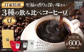 GRAN TORINO 200g×3種類 コーヒー 豆 キリマン トラッドブレンド グアテマラ 3種 飲み比べ セット 計600g 自家焙煎 珈琲豆 ドリンク 飲料 福岡県 福岡 九州 お取り寄せ