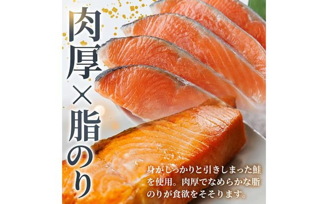 肉厚 鮭 切り身(計1kg・500g×2P)  サーモン切り落とし5枚付き！ 厚切り 塩 しゃけ さけ サケ 切身 塩鮭 塩焼き 焼き魚 おかず お惣菜 冷凍 厚切【AW-136】【丸正水産】