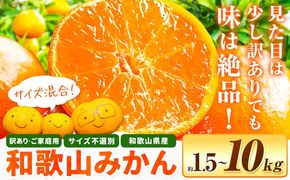 和歌山県産 訳あり みかん (3S～3L) 選べる内容量 約1.5kg 約5kg 約10kg《11月上旬-12月末頃出荷》和歌山県 日高川町 果物 フルーツ 訳ありみかん 家庭用 お試し 大容量 みかん 5kg みかん 10kg---wfn_wlocal_11j12m_25_3000_1500g---