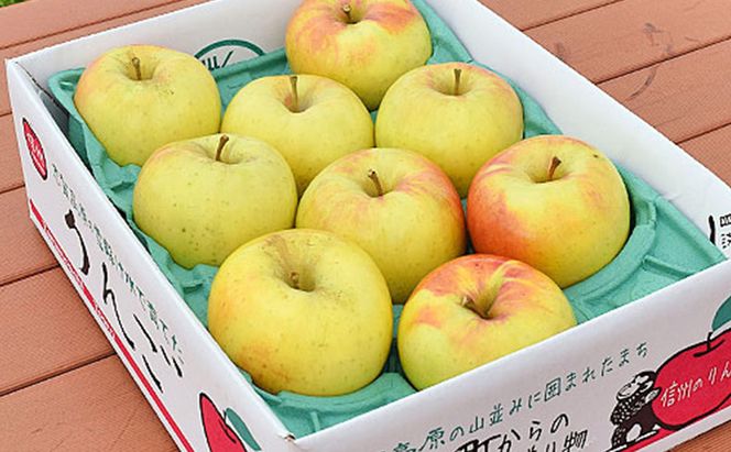 【2026年11月発送】 ぐんま名月約5kg 13～18玉 りんご 長野県産