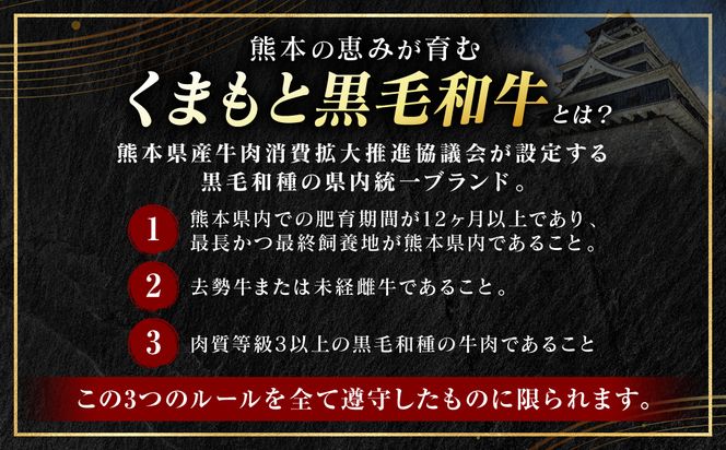 【A4～A5ランク】 くまもと黒毛和牛 切り落とし 500g （500g×1パック） 和牛 牛肉 お肉 黒毛和牛 冷凍 すき焼き 牛丼 おかず ギフト 熊本県 八代市