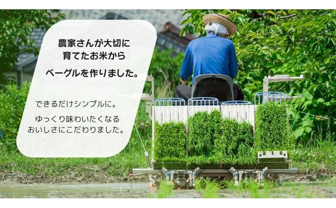 ベーグル 生米ベーグル（定番8種） 生米ベーグルセット ベーグル詰め合わせ 朝食 冷凍 お米 生米 あいちのかおり 日進産