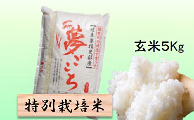 特別栽培米★玄米５kg 【夢ごこち】 お米 ブランド米 銘柄米 ご飯 おにぎり モッチリ 甘い 低アミロース米 冷めても美味しい 