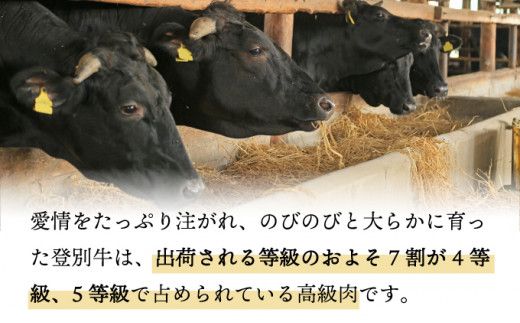 定期便も選べる！ 登別牛100％使用ハンバーグ 120g×5個（単品／定期便）