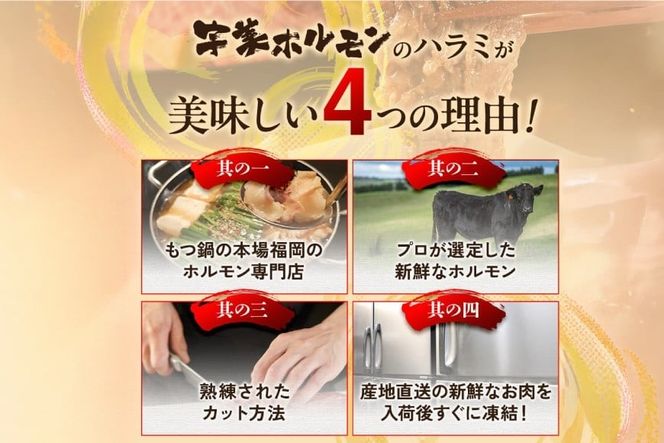 牛肉 焼肉 国産 特製たれ漬 牛ハラミ サガリ 500g [宇美ホルモン 福岡県 宇美町 um40azp100003] ハラミ はらみ 牛はらみ 小分け 個包装 牛 肉 焼き肉 ホルモン タレ漬け たれ漬け