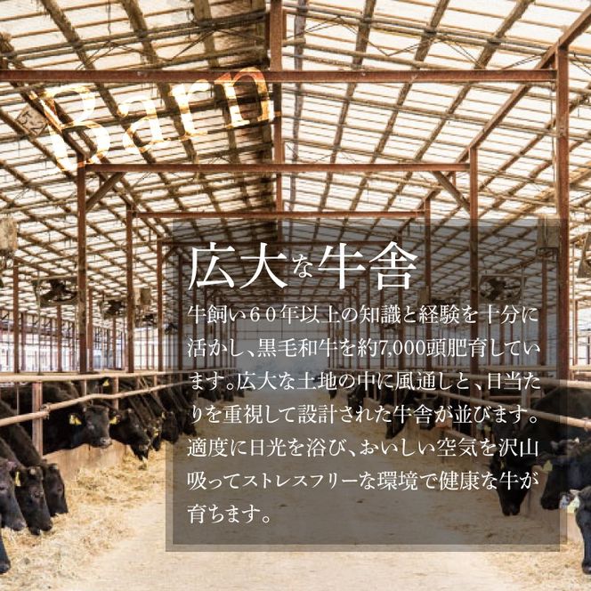 ＜宮崎ＥＭＯ黒毛和牛 すき焼き用上スライス 600ｇ＞ K20_0013_3