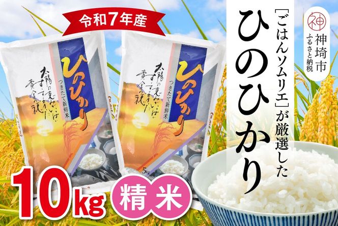 【令和7年産】ごはんソムリエが厳選 白米 ひのひかり 10kg【神埼市産 米 お米 精米 白米 10kg 5kg×2 ひのひかり ブランド米 食味鑑定士】(H063151)