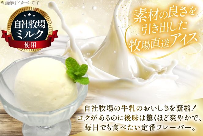 テレビで紹介！ アイス ジェラート ミルク 1L ファミリーサイズ [岩瀬牧場 北海道 砂川市 12260967] 冷凍 アイスクリーム 詰め合わせ スイーツ