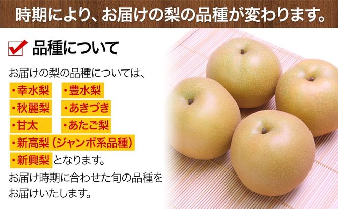 ＜2026年先行予約＞ 梨 くまもと梨 秋 旬 なし 幸水 豊水 先行 果物 くだもの フルーツ 送料無料 あきづき 甘太 新高 新興 約4.5～5kg(8玉～22玉前後) 熊本県産【着日指定不可】《8月下旬-11月中旬頃出荷》旬 果物 お取り寄せ ナシ---fn_cngsnasi_h811_r8_13500_5kg---