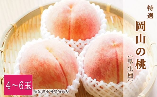 桃 2026年 先行予約 特選 岡山の白桃 4～6玉 1.5k箱（正味内容量1.3kg以上）早生種 もも モモ 岡山県産 国産 フルーツ 果物 ギフト 白鳳 白桃 品種はお任せ お楽しみ お取り寄せ 季節の果物 