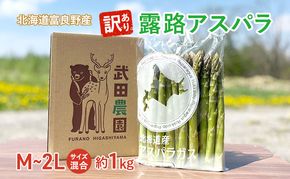 ［武田農園とれたて直送］2027年春～発送 訳あり グリーンアスパラ サイズ混合 約1kg ご家庭用 やわらかくて抜群に甘い！北海道 富良野産 ( アスパラガス アスパラ 野菜 新鮮 産地直送 先行予約 限定 )