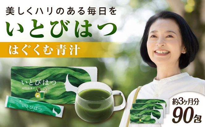 yszy3@90zƂт͂ ͂ސ` s / Ѓs[[AZA265] ` C\t{ N _ H@ ~l r^~