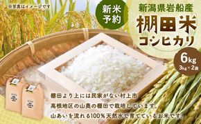 【新米受付・令和8年産米】新潟県村上市岩船産 棚田米コシヒカリ 6kg（3kg×2袋）1011008N