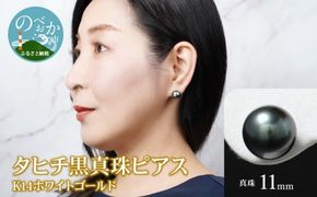 タヒチ黒真珠 ピアス 真珠 11mm 14Kホワイトゴールド　N0119-YI025