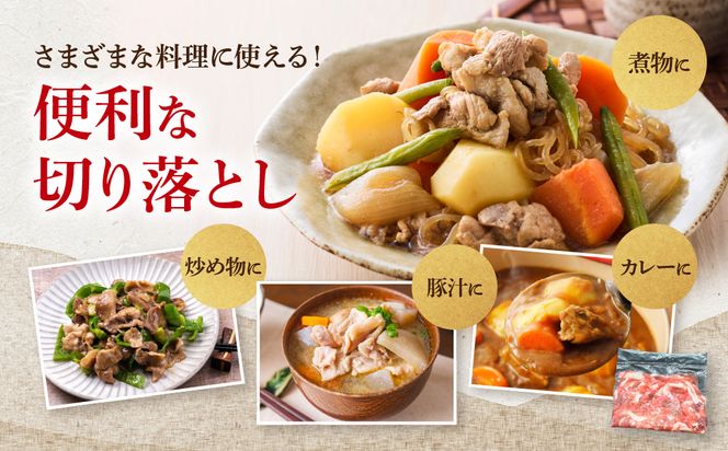 国産豚肉 切り落とし 300g×10p (3kg) 【 小分け ・ 真空パック 】 ( 茨城県共通返礼品・茨城県産 ) ブランド豚  ローズポーク 茨城 国産 切り落とし 豚 豚肉 冷凍