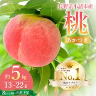 【2026年8月上旬～発送予定】桃 先行予約 浅間水蜜桃 あかつき 約5kg 秀品 13～22玉 贈答品 フルーツ 果物 白桃 白鳳 甘い 冷蔵