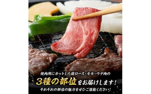 宮崎牛 焼肉 3種 計1.1kg 【 肉 牛 牛肉 国産 黒毛和牛 宮崎牛 BBQ 焼肉 カタロース モモ ウデ 】 [D00603]