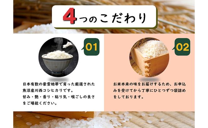 数量限定 従来品種 魚沼産コシヒカリ 精米 5kg×4