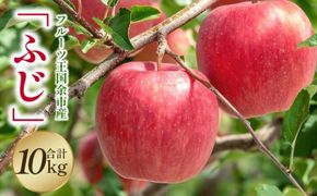 【2025年11月下旬より発送】フルーツ王国余市産「ふじ」10kg【ニトリ観光果樹園】_Y074-0152