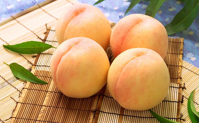 フルーツ 2026年 先行予約 4回お届け便！  環山堂 セレクト 晴れの国 おかやま より 果物 を旬な時期に4回に分けてお届け！ 桃 葡萄 梨 岡山県産 国産 果物 セット ギフト 