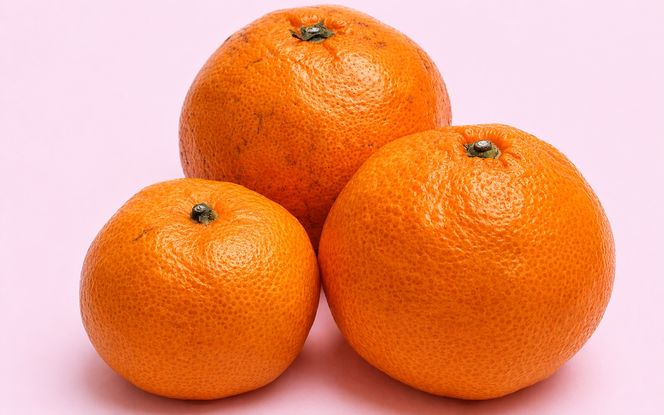 家庭用 有田みかん（完熟）5kg+250g（傷み補償分）【わけあり・訳あり】【光センサー選別】＜11月より順次発送予定＞【ikd007D】