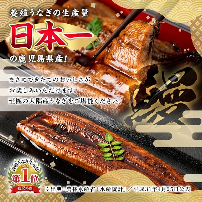 【0234317a】【緊急企画！数量限定】鰻の蒲焼(無頭)(4尾・計約600g・タレ、山椒付) うなぎ ウナギ 鰻 国産 蒲焼 蒲焼き たれ 鹿児島 ふるさと 人気 支援【アクアおおすみ】