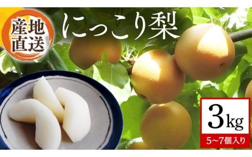 【 産地直送 】 にっこり 3kg 先行予約 梨 なし ナシ [CZ004ci]