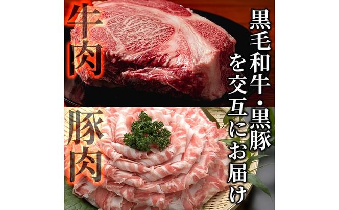 【定期便全6回】黒毛和牛・黒豚を交互にお届け！＜志布志牛・豚 満足定期コース＞計6.3kg超！ t0100-032