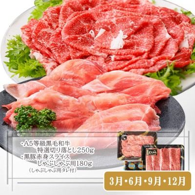 定期便(3回配送)鹿児島産A5等級黒毛和牛&黒豚 EE-6014 【1471286】