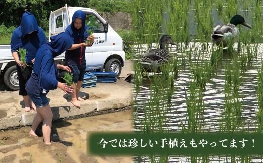 はっぴぃ米（ヒノヒカリ）DD-1　