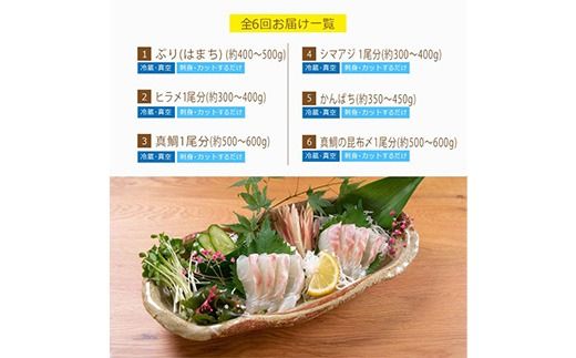 【北海道・離島配送不可】＜定期便・全6回(連続)＞旬の鮮魚(6ヶ月コース)お刺身 お刺し身 魚介 海鮮 漬け丼 ブリ ぶり ヒラメ 真鯛 シマアジ カンパチ お楽しみ【UZ-10】【請関水産】