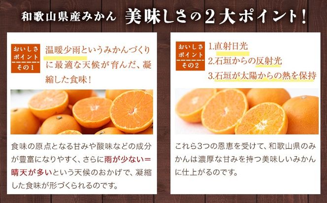 【訳あり/ご家庭用】和歌山県産みかん 約5㎏【サイズ混合】 サンファーム《10月上旬-1月下旬頃出荷》和歌山県 紀の川市---wsk_saf13_1j3m_26_11500_10kg---