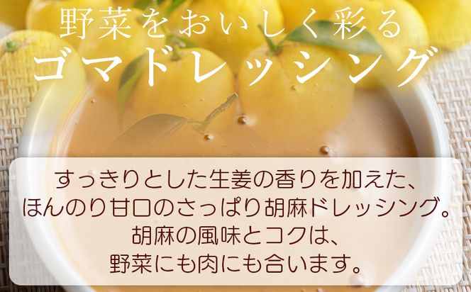 胡麻スッたらうまいで生姜 3本セット(200ml×3) - 国産 調味料 胡麻ドレッシング ごま 甘口 野菜 サラダ しゃぶしゃぶ フライ 加工品 高知県特産品販売 高知県 香南市 常温 kc-0004